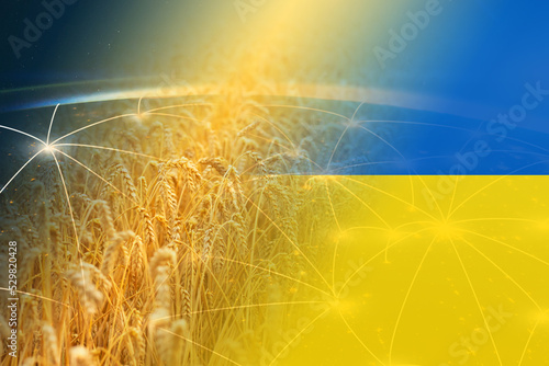 Ukrainian grain, wheat harvest agriculture field on the background of the planet