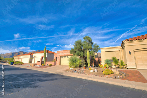 Quadro su tela House garages exterior in a subdivision at Tucson, Arizona near the mountains