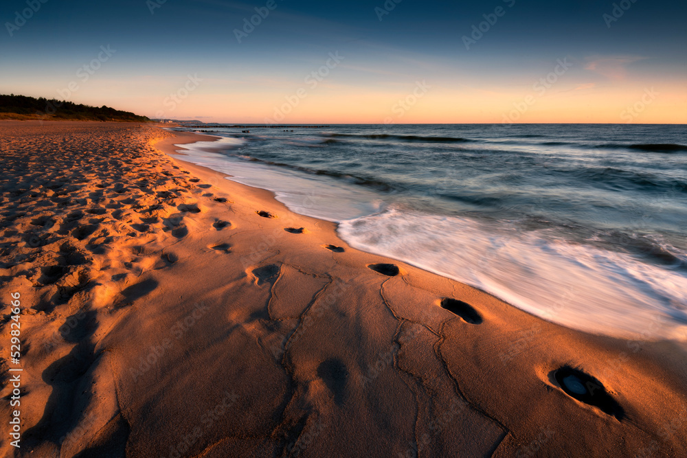 Baltic Sea. Beautiful beach and coast on the Hel Peninsula. Summer sunrise. Piękne plaże półwyspu helskiego z widokiem na wydmę, roślinność wydmową, piasek i morze bałtyckie. Okolice Helu i Juraty - obrazy, fototapety, plakaty 
