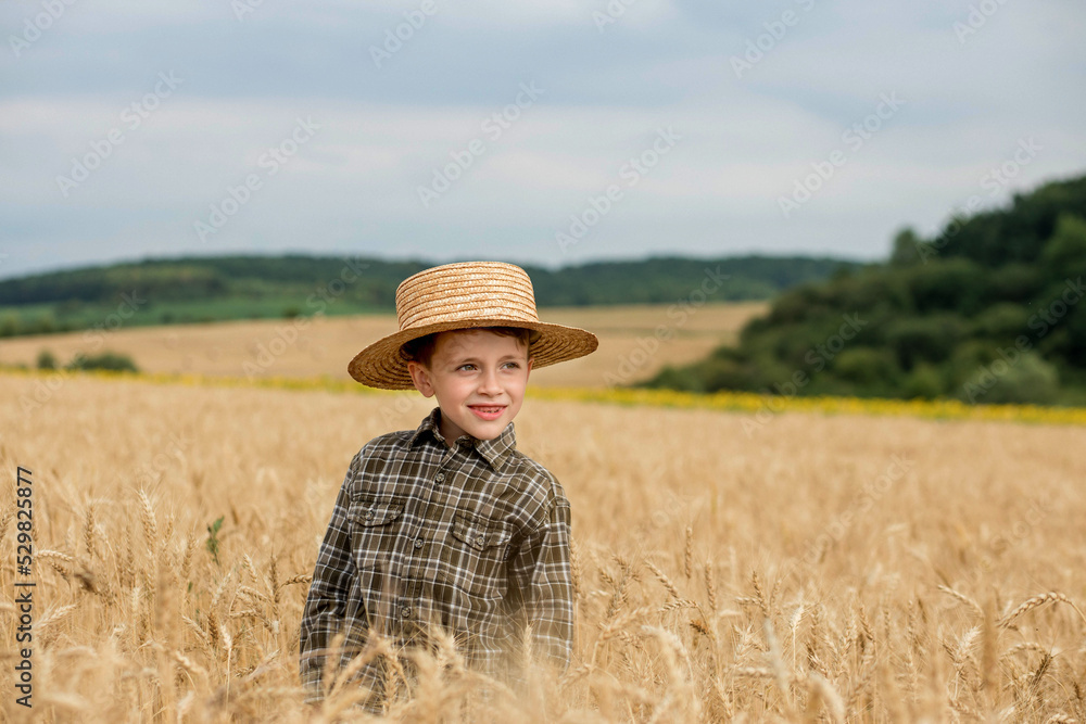 A smiling little farmer boy in a plaid shirt and straw hat poses for a photo in a wheat field. Heir of farmers A smiling little farmer boy in a plaid shirt and straw hat poses for a photo in a wheat field. Heir of farmers