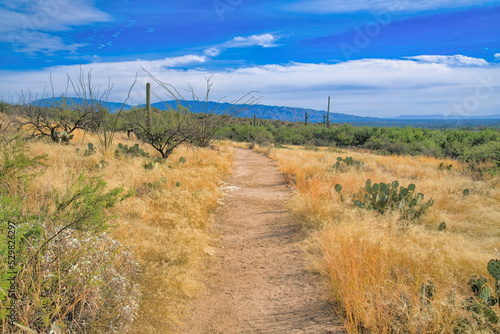 Nature trail at Sabino Canyon State Park in Tucson, Arizona © Jason