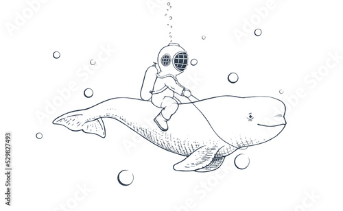 Diver and beluga swims together
