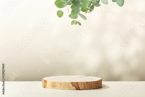 Fototapeta Naklejka Na Ścianę i Meble -  Wood slice podium with eucalyptus leaves on beige background for cosmetic product mockup
