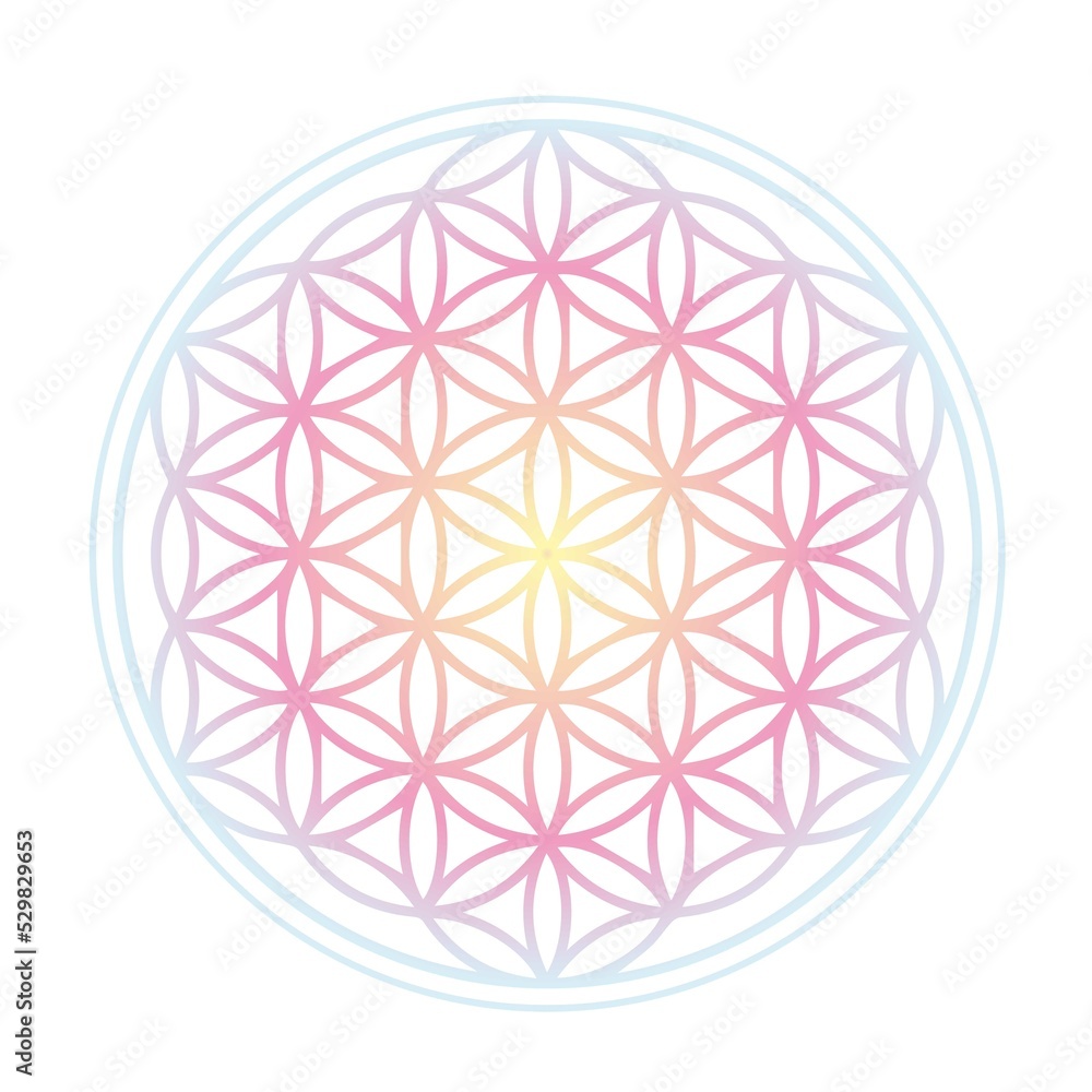 フラワーオブライフ の画像 31 件の Stock 写真 ベクターおよびビデオ Adobe Stock