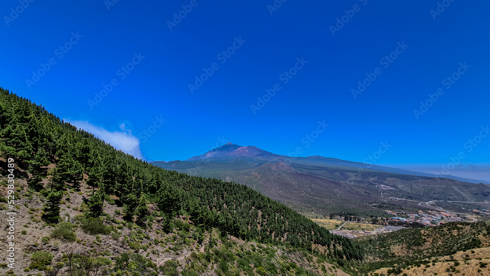 Scenic view on volcano Pico del Teide surrounded by Canarian pine tree forest, Teno mountain range, Tenerife, Canary Islands, Spain, Europe. Hiking trail from Santiago to Masca village via Pico Verde Scenic view on volcano Pico del Teide surrounded by Canarian pine tree forest, Teno mountain range, Tenerife, Canary Islands, Spain, Europe. Hiking trail from Santiago to Masca village via Pico Verde