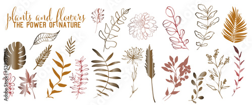 Plants and flowers collection - the power of nature. Individual design elements for your own project. Hand drawn lines and elegant leaves. Hand drawn colorful plant set - universally usable. 