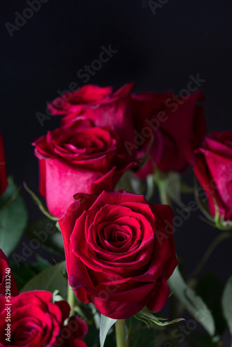 Bouquet of red roses on a black background. Vertical floral background for photo wallpaper  screen saver  banner. High quality photo