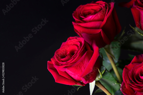Bouquet of red roses on a black background. Vertical floral background for photo wallpaper  screen saver  banner. High quality photo The soft focus of the photo is not in sharpness.
