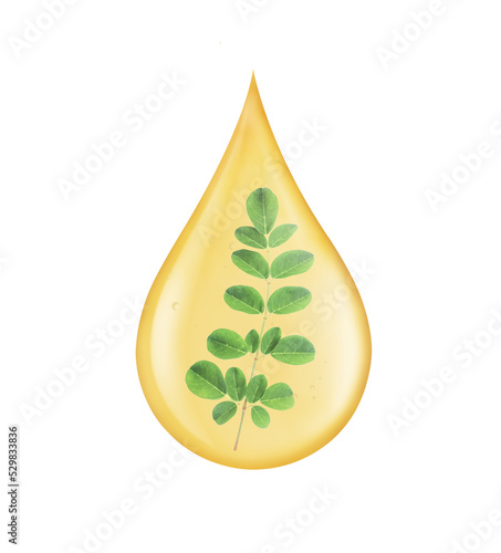 Drop of moringa oil with fresh green leaf inside isolated on white background with clipping path. 