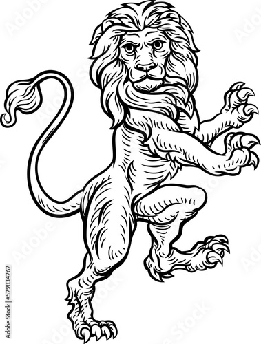 Lion Standing Rampant On Hi...