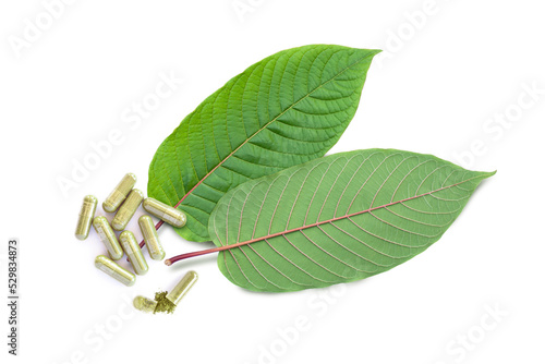 Kratom leaf (Mitragyna speciosa) with katom powder capsule isolated on white background, top view, flat lay. photo