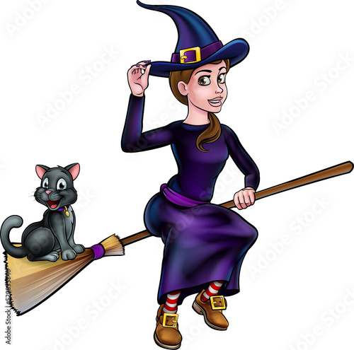 Witch and Cat Flying On Bro...