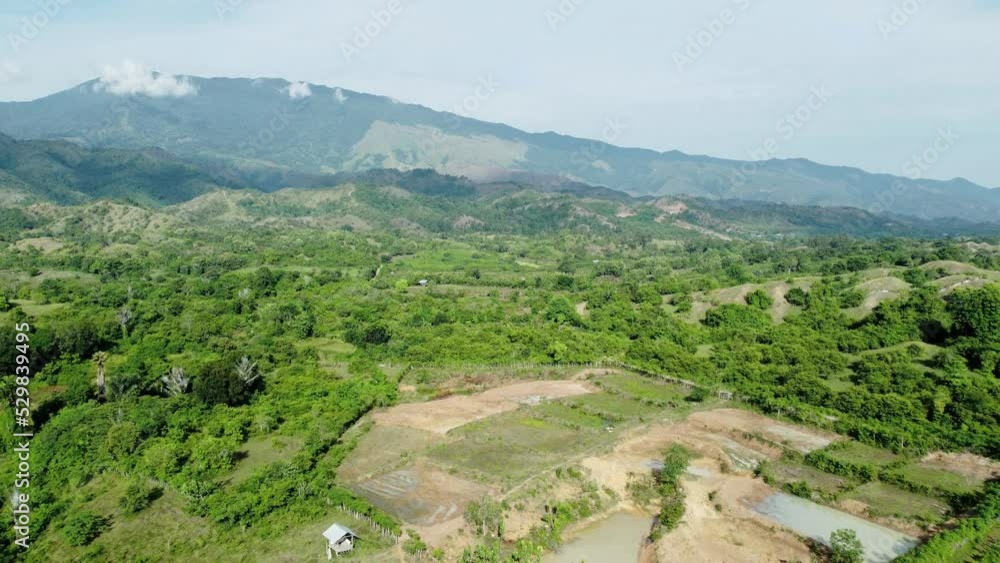 Aerial view of plantation, Aceh, Indonesia. Aerial view of plantation, Aceh, Indonesia.