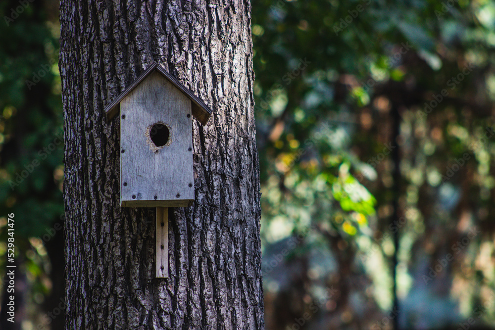 wooden birdhouse nesting box on the tree