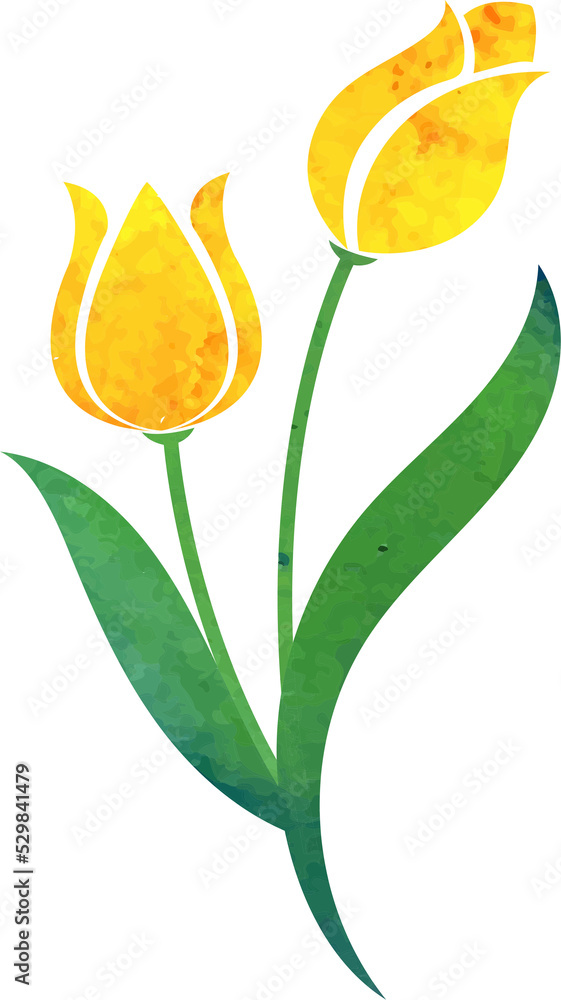 Obraz premium Water color texture botanic garden plant flower yellow tulip