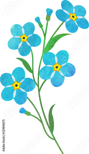 Water color texture botanic garden plant blue forget me not flower