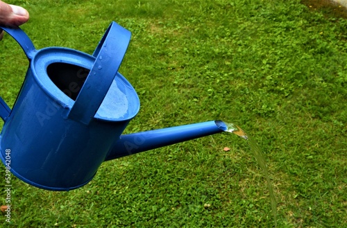 Watering the lawn with a metal, blue watering can