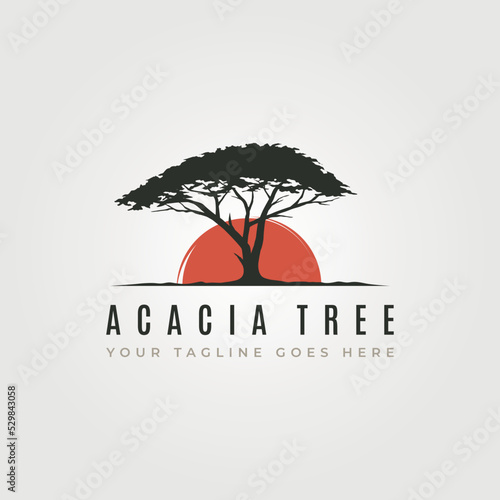 vector of acacia tree silhouette logo with sunset symbol illustration design, vintage tree logo design