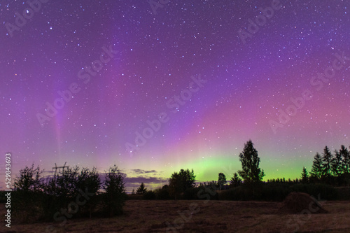 Night landscape with northern lights in green violet starry sky