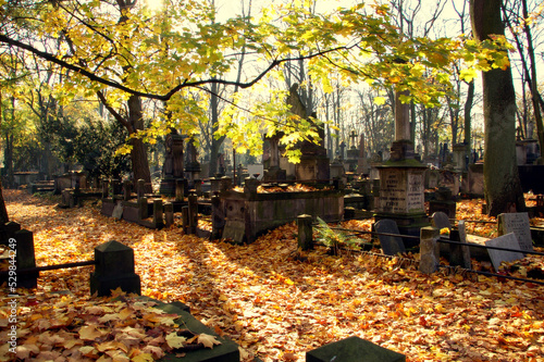 Cmentarz Powązkowski - Warszawskie Powązki jesienią