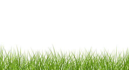 Vector bright green realistic seamless grass border isolated on transparent background
