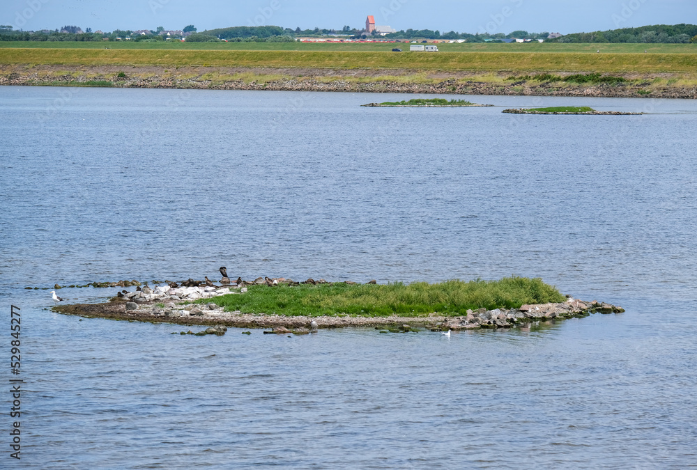Eine der bekannten Vogelinseln im Naturschutzgebiet Rantumbecken auf der deutschen Nordseeinsel Sylt mit Blick in Richtung Osten auf die berühmte Kirche Sank Severin in Keitum