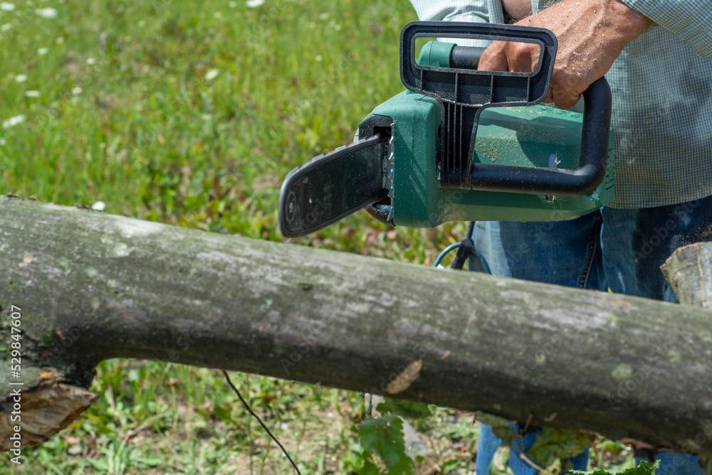 A man is sawing a tree with a chainsaw. A young near his house A man is sawing a tree with a chainsaw. A young near his house