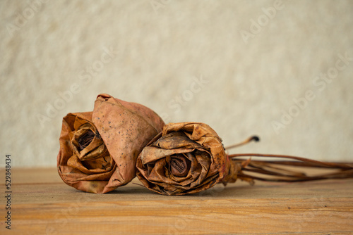 Dried roses photo