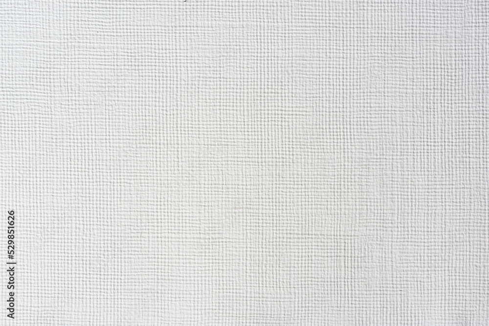 White watercolor paper texture. Paper Background White watercolor paper texture. Paper Background