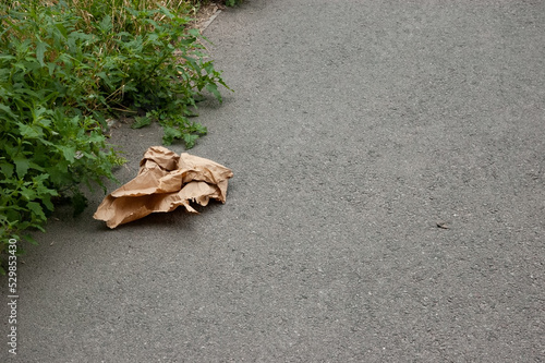 a crumpled piece of brown kraft paper lies on the asphalt next to the green grass