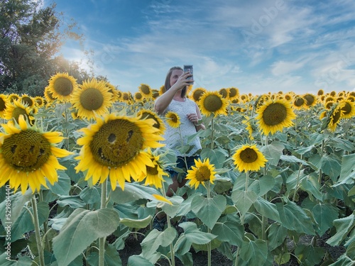 Woman Standing in Large Sunflower Field in Kansas photo