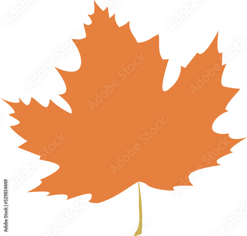 Autumn leaf, orange, fall, tree leaf