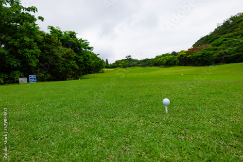 曇り空のゴルフ場・ミドルコースのティーグラウンドにティーアップされたゴルフボール（千葉県富津市）
