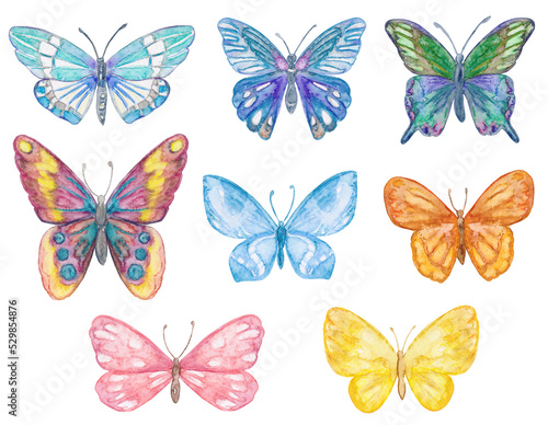 Collection of cute colorful butterflies. watercolor painting