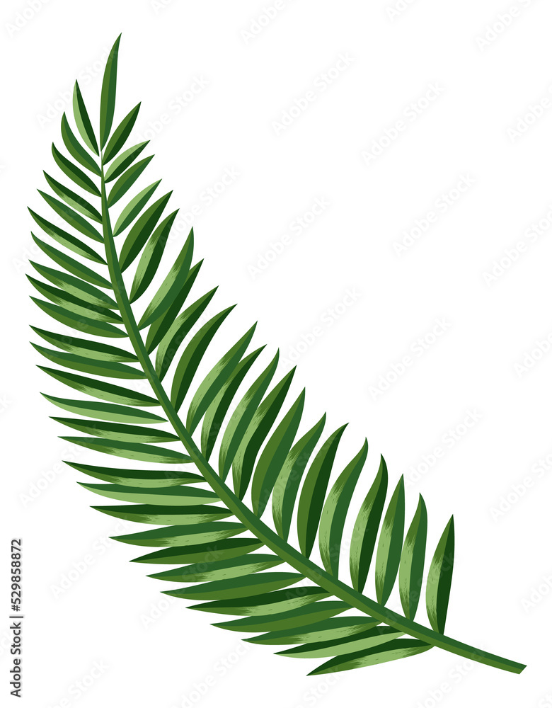 Palm frond. Tropical paradise symbol. Exotic leaf Palm frond. Tropical paradise symbol. Exotic leaf