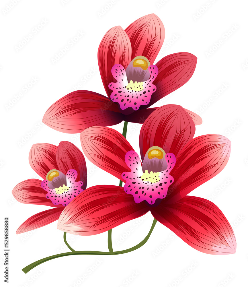 Red flowers branch. Exotic bright blossom plant Red flowers branch. Exotic bright blossom plant