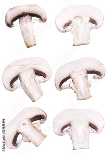 Canvas Print Sliced white champignon mushrooms isolated