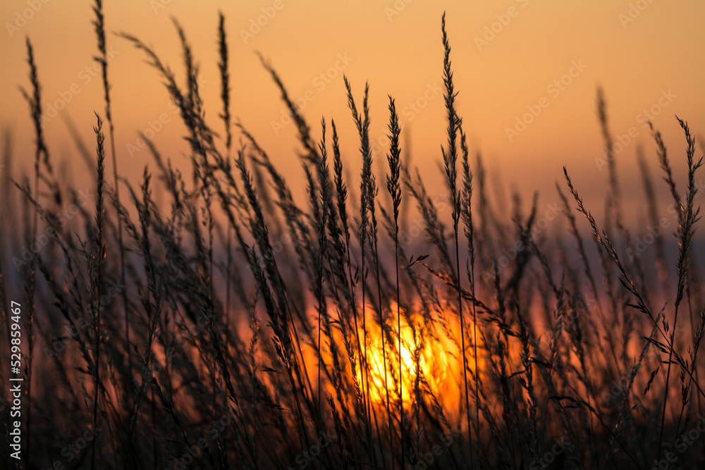Sundown Sundown