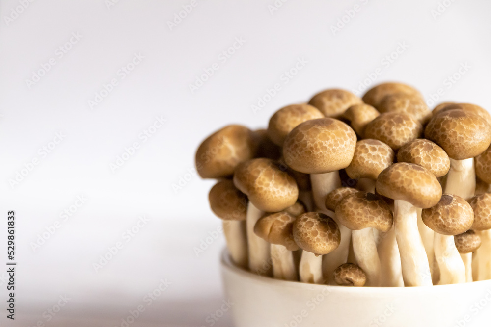 Fresh shimeji mushrooms in a bowl isolated on white background with copy space. Fresh shimeji mushrooms in a bowl isolated on white background with copy space.