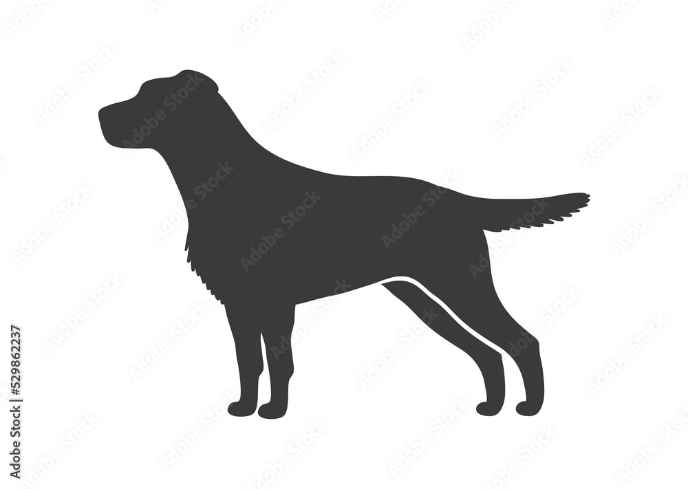 Labrador retriever silhouette. Pointer fun dog companion, vector icon