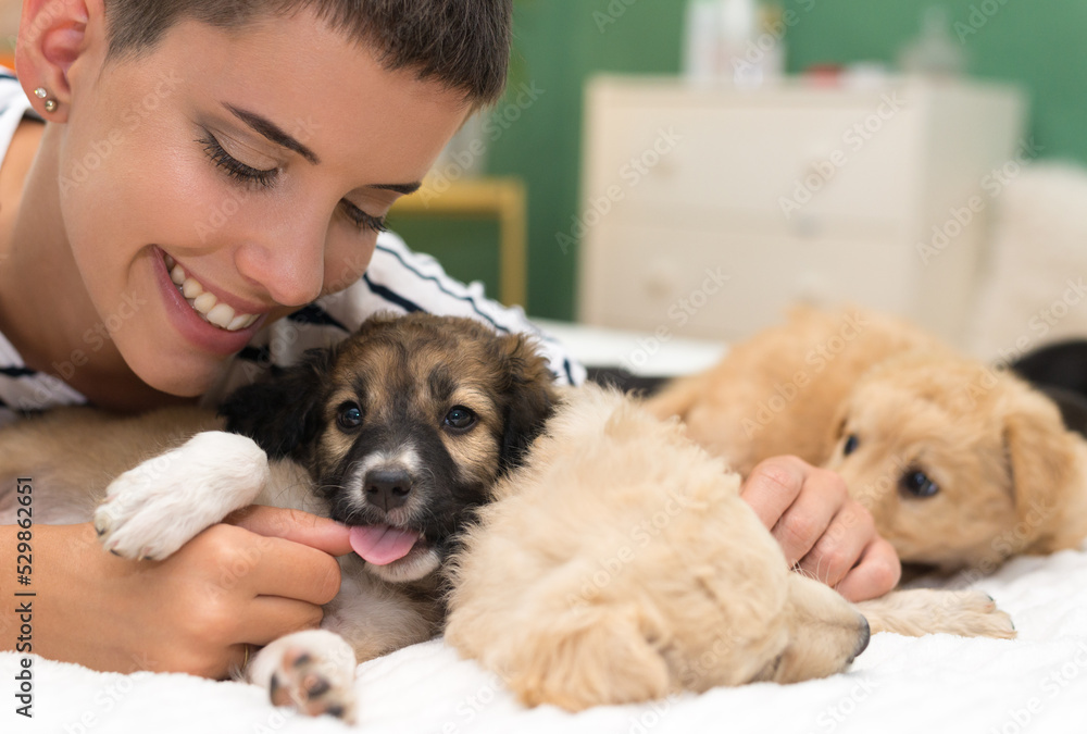Young woman playing with puppies in bed