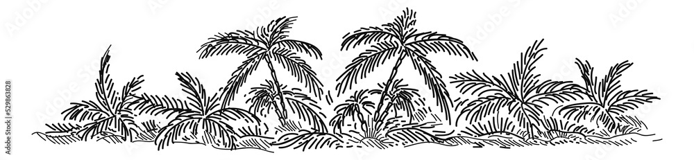 Tropical landscape. Palm trees and exotic plants in hand drawn style