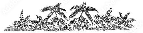 Tropical landscape. Palm trees and exotic plants in hand drawn style