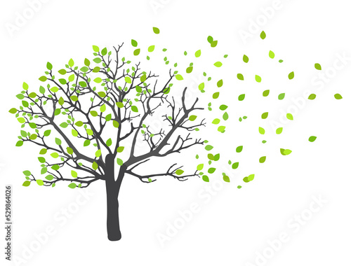 Abstract nature background.