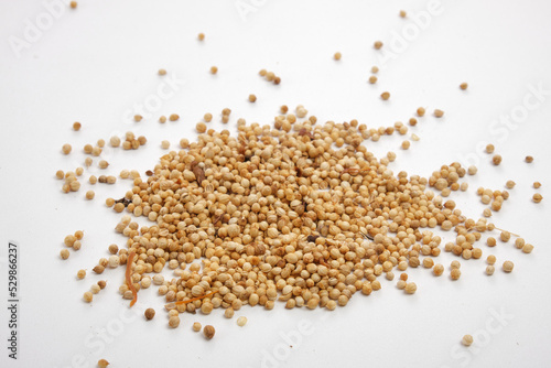 bunch of Coriander isolated on white background