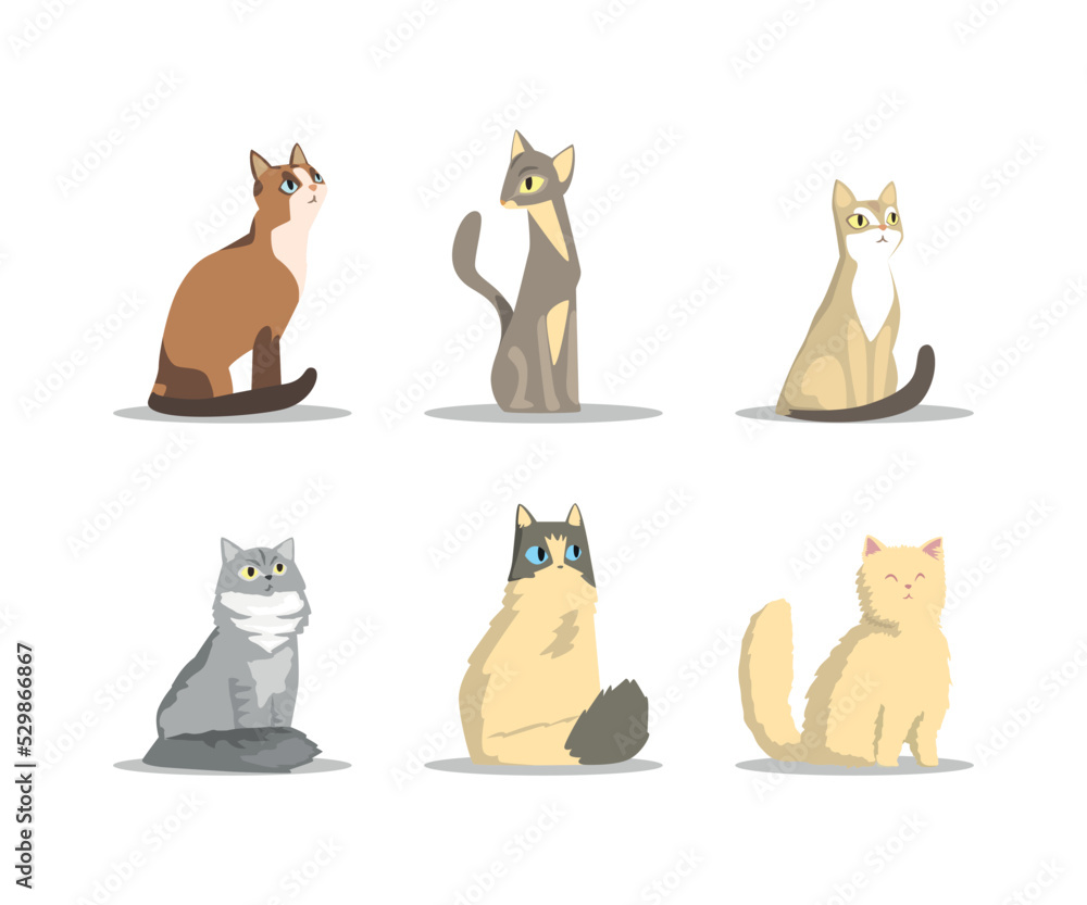 Fluffy Purebred Cat with Tail and Cute Snout in Sitting Pose Vector Set