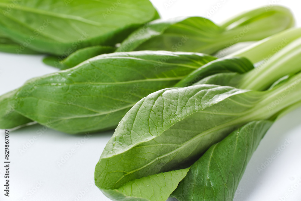 mustard greens isolated on white background mustard greens isolated on white background