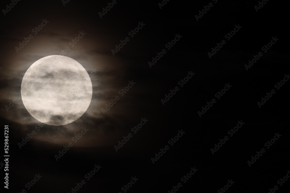 Obraz premium Early Morning moon.