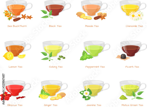 Herbal tea types. Different type green black teas, hot sugar drink in glass cup, flowers jasmin ginger peppermint lemon red hibiscus beverage spice taste, neat vector illustration