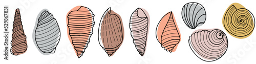 Set of line art sketch seashells. Vector illustration isolated from background. Decoration symbol of health calcium. Different shapes of shells. Sea ocean icon. Sand and beach design.
